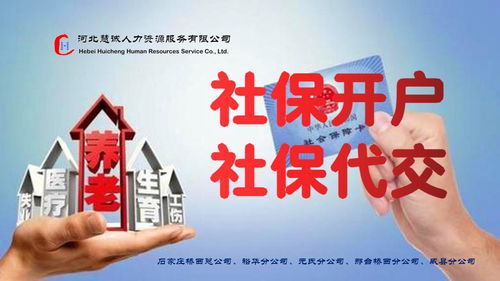 代理記賬與社保代理的完美結(jié)合 為您的進出口業(yè)務(wù)提供便捷可靠的支持